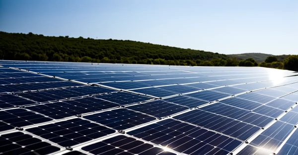Panneau solaire photovoltaïque : l'énergie du futur à portée de main